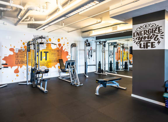 a workout room with weights and other exercise equipment and a wall with a mural