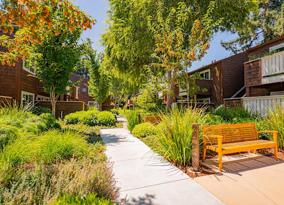 A sunny day in a residential area with a bench and trees.
