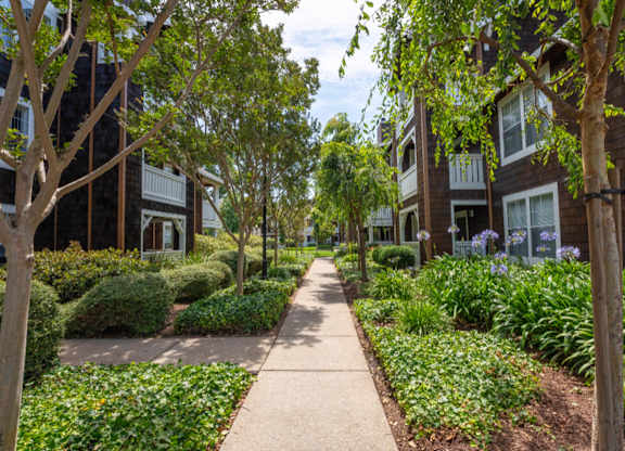 landscaped apartment grounds with greenery and pathways