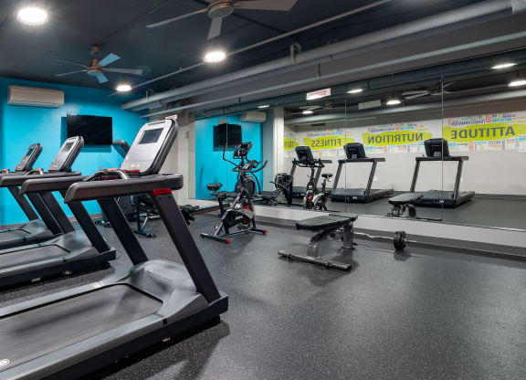 a group of treadmills and other exercise equipment in a gym