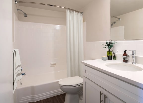 a bathroom with a sink and a toilet and a shower