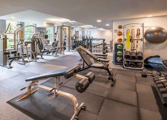 Photo of Fitness Center