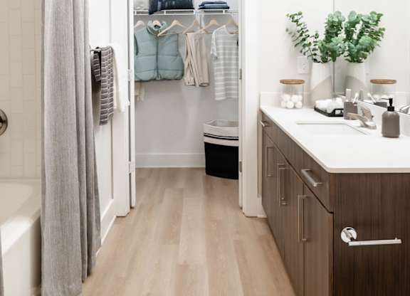 Bathroom and Closet
