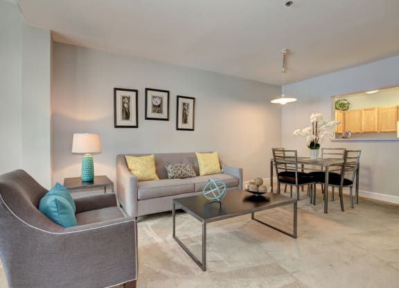 Oversized windows and open layouts make our spacious apartments a masterpiece