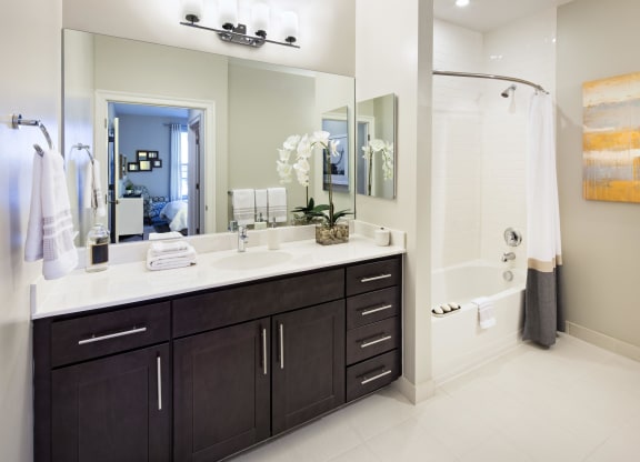 the preserve at ballantyne commons apartments bathroom with sink and shower