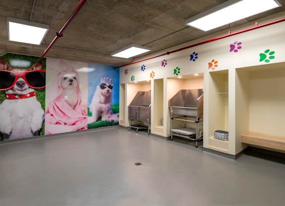 Photo of Pet Spa