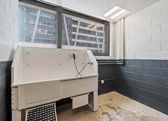 Photo of pet spa