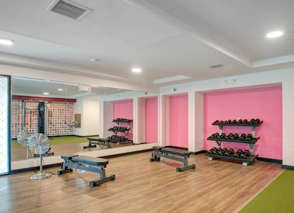 A gym with pink walls and a green mat.