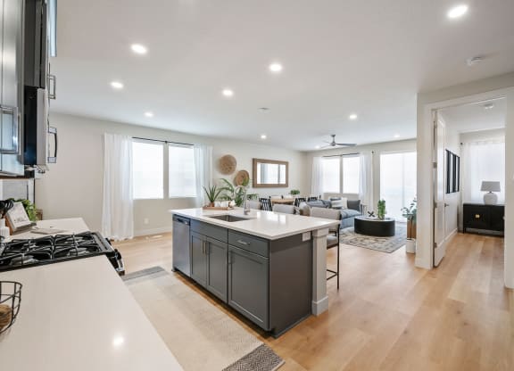 Kitchen and Living room