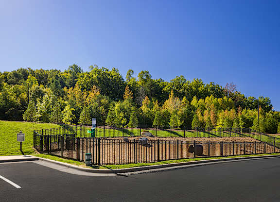Greenery around at 198 Milltown Apartments, Burlington, North Carolina