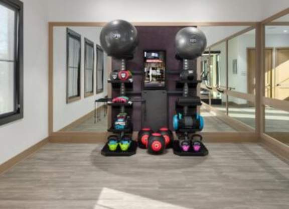A room with a purple wall and a row of exercise balls and dumbbells.at 198 Milltown Apartments, Burlington North Carolina  