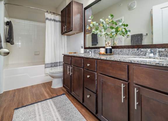 Bathroom with mirror at Pecan Springs, San Antonio, TX, 78249