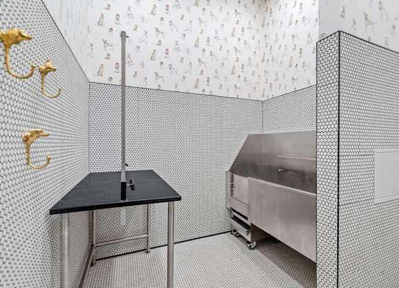 Pet Wash with Drying Stand at The Hallon Apartments,  Hopkins, MN