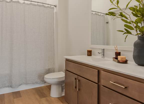 A bathroom with a toilet, sink, and a plant.