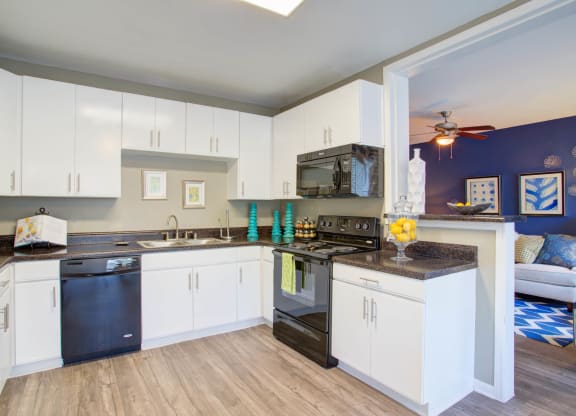 Fully Equipped Kitchen at Metro 5514, Houston, 77021