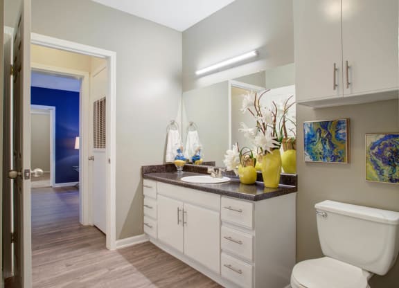Luxurious Bathroom at Metro 5514 Houston, TX, 77021