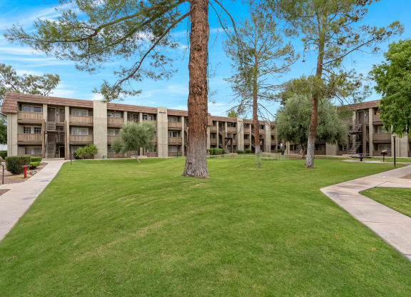 Courtyard with Palm Trees and Buildings at Verde Apartments in Tucson, AZ!