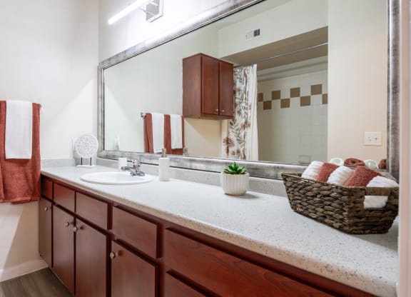 Bathroom at Park Hudson Place Apartments, Bryan