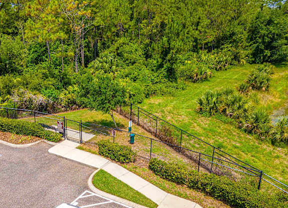 Dog park surrounded by a fence