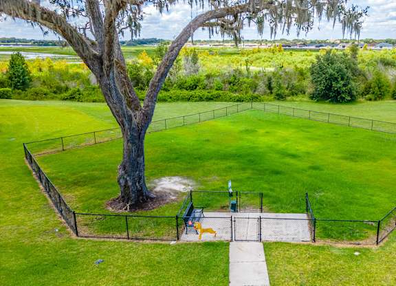 A tree stands in a grassy field with a fence around it.