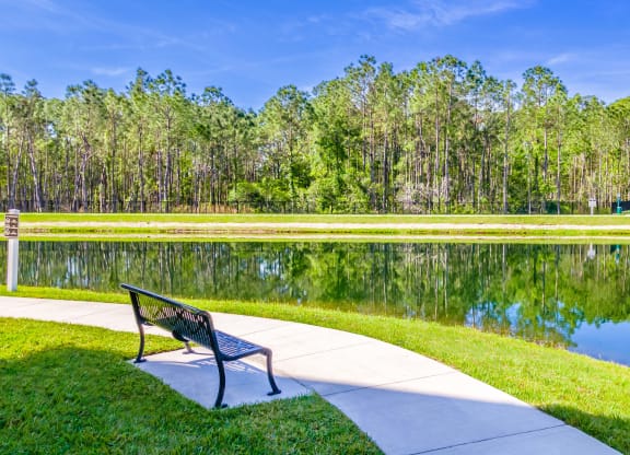 a park bench sitting next to a pond