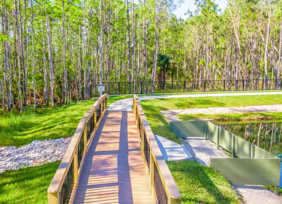 a wooden boardwalk through a park with trees