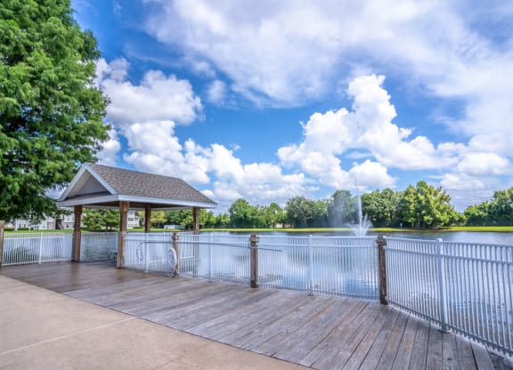Lakeside View from Pool