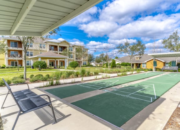 Shuffleboard Court