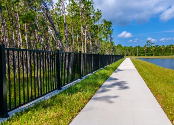 the path along the water is lined with grass and a black fence