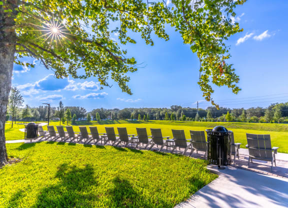 a row of chairs overlooking a grassy field with a tree