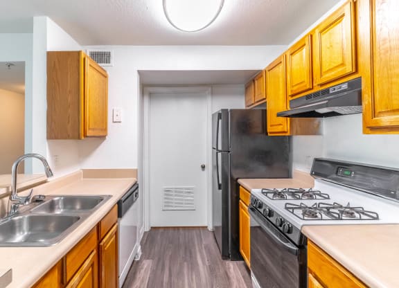 a kitchen with a stove and a sink and a refrigerator