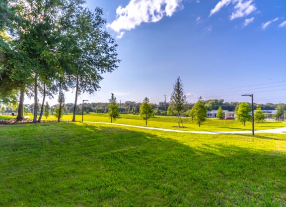 a park with green grass and trees on a sunny day