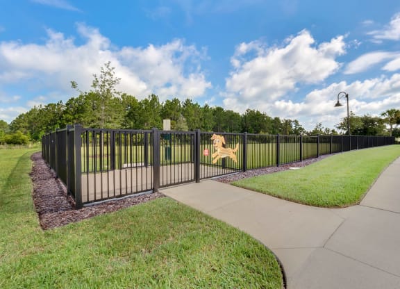 Dog Park
