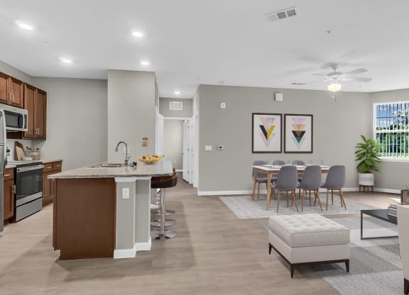 Living Room and Kitchen