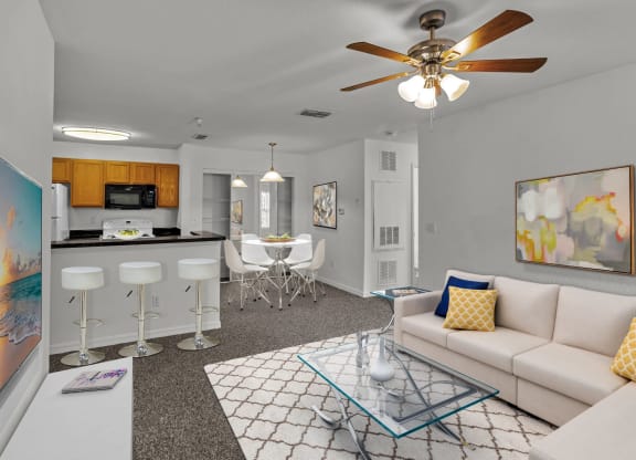 Living Room and Kitchen