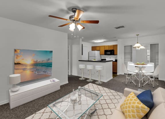 Living Room and Kitchen