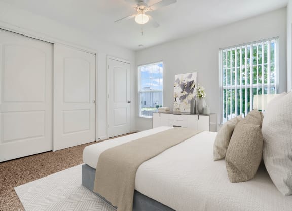 Bedroom with Large Closet