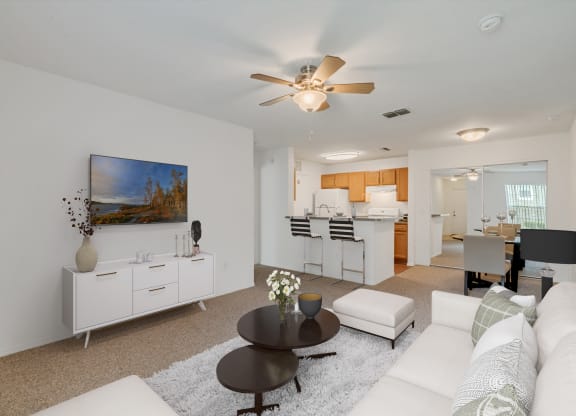 Living Room/Dining Area