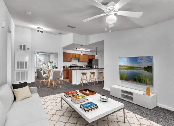 Living Room, Dining Room and Kitchen