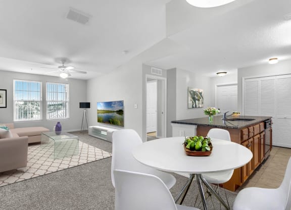 Dining/Living Area
