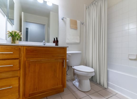 Bathroom Features Shower and Tub Combo