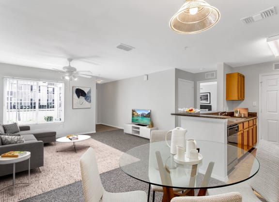 Open Living Area
