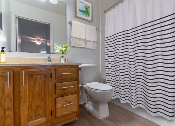 Modern Bath with Shower Tub Combo