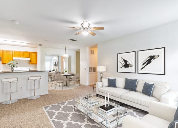 Open Living/Dining Space