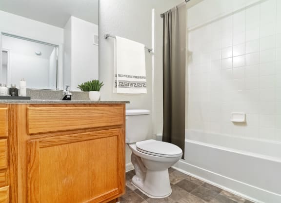Modern Bath with Shower Tub Combo