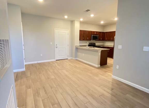 Living Room/Dining Room/Kitchen