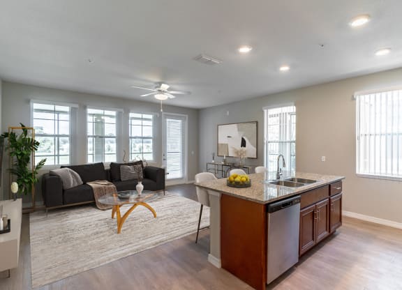 an open living room with a kitchen and a living room
