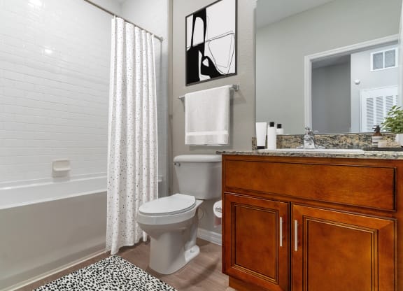 a bathroom with a shower and a toilet and a sink