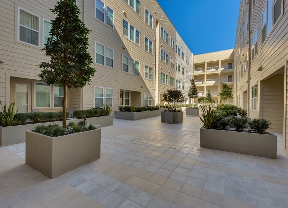 Courtyard