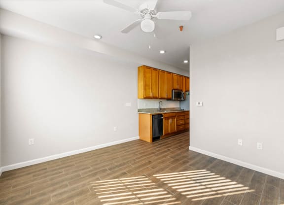 Minimalist Living Room and Kitchen